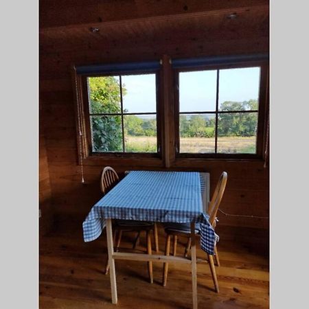 Self Catering Garden Lodge ラドロー エクステリア 写真
